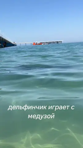 #анапа #🐬 #2025 #🐬 #рекомендации #рек 