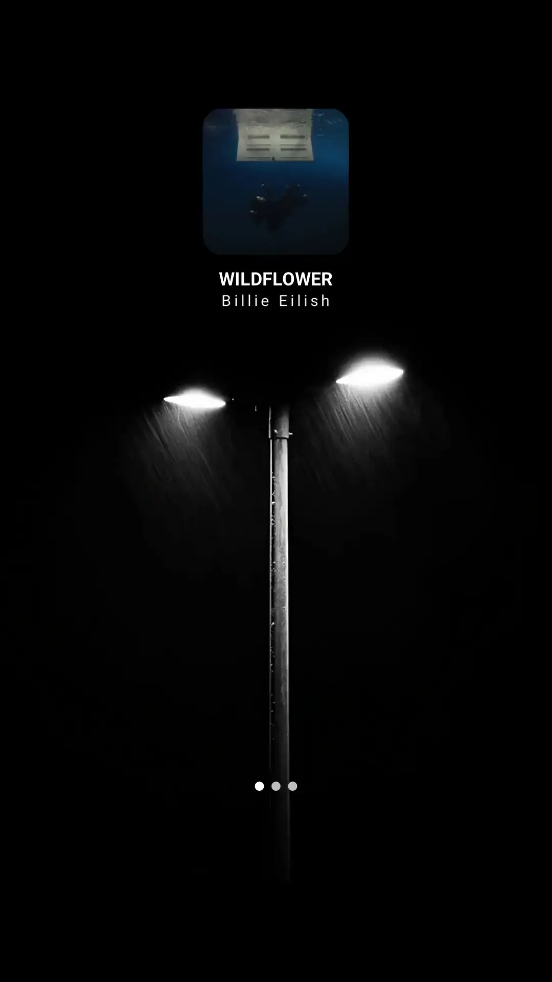 #billieeilish #wildflower #musictrend #trending #foryou 