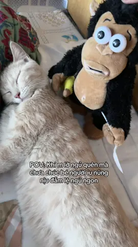 Cái nết này dễ trùng lắm nè 🥰 #xuhuong #fyp #xuhuongtiktok #xh #trending #funny #haihuoc #foryou #fypシ #foryoupage #viral 
