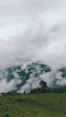 somewhere at mystical location. . #travelnepal 