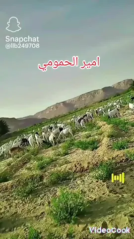 #حضر_اكسبلور😔 #شحيب #مشاهير_تيك_توك #المكلا_عشق_حضرموت #المشقاص_عمان_صلاله_المهره_حضاتهم_ظفار #اكسبلورexplore #مشقاصي #الريده_الشرقيه 