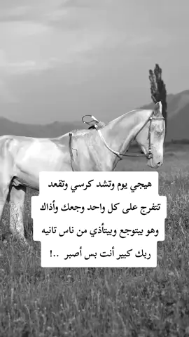 #خيل_وخياله🐎 #خيل_حصان_فرس_مهره_خيول_امهار_العاديات #horseriding #fouryoupagee #explorepage✨ #horseriding #horseriding 