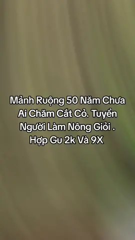 Tuyển người làm nông #tuyểnphicông #môigiớituyểnphicông #kếtnốiquýbàhồixuân 