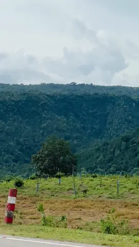 Guess the location? #views #viral #tiktok #bdtiktokofficial🇧🇩 #sylhet #today #pahar #amazingview 