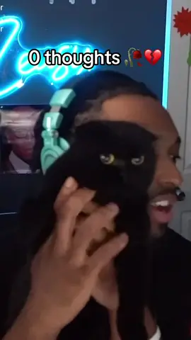 Lights on, no one home 💔#twitch #cat #catsoftiktok #viral 