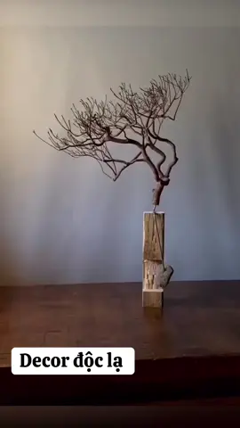 #xuhuong #decor #gỗluasanvuon #gỗnghệthuật #gỗlũa #trending 