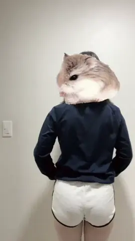 옥수수맛 해바라기씨