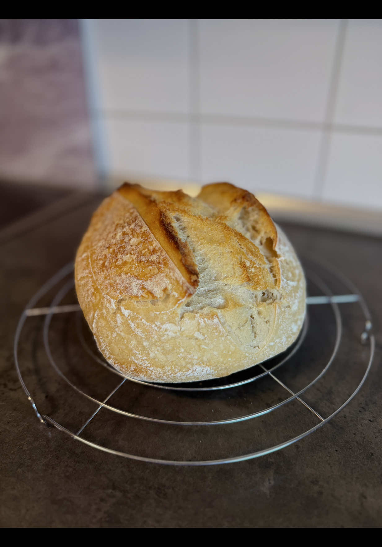 Basic Sauerteigbrot 🌾  350g warmes gefiltertes Wasser 120g aktiver Starter 500g Mehl (hier 300g 550 & 200g Typ00) 12g Salz #sauerteig #sourdough #selfmade #germany #bavaria #munich #allgäu 