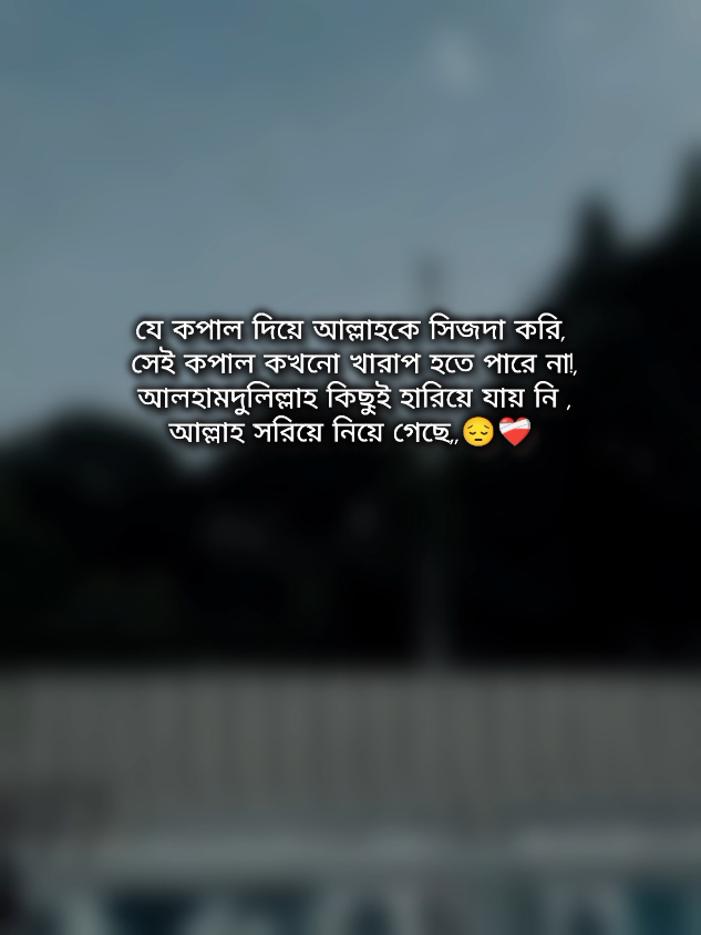 💫💫#বাংলা #স্ট্যাটাস #fyp #foryou #foryoupage #trendingsong 