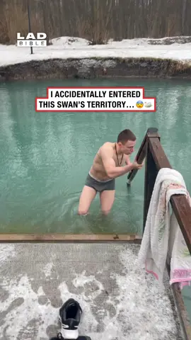 That is terrifying 😳 (🎥: ViralHog) #ladbible #funnyvideos😂 #swansoftiktok #animals #scaryvideos #omg