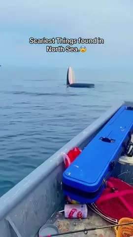 OMG😨#northsea #bigwaves🌊 #scary #creatures #deepsea #jobs #foryoupage #viral #bigwaves🌊 #foryou #fypシ 