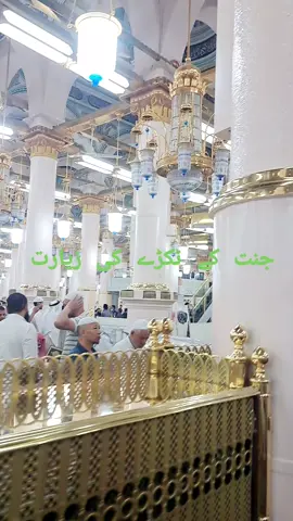 Riaz ul jannah Beautiful view today #riazuljannah #rozarasool #visitmadinah#visitofmadinah  #Makkah #Madina  #masjidNabawi  #Haramain