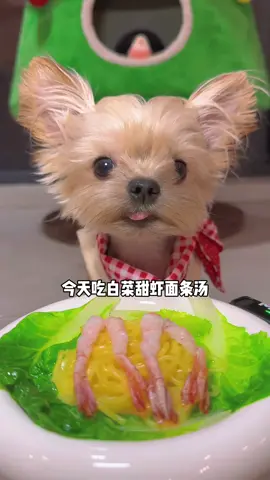 #cute 