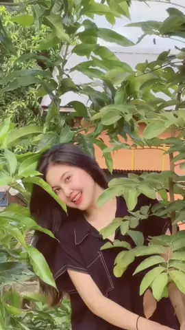 Dayak kalimantan tengah