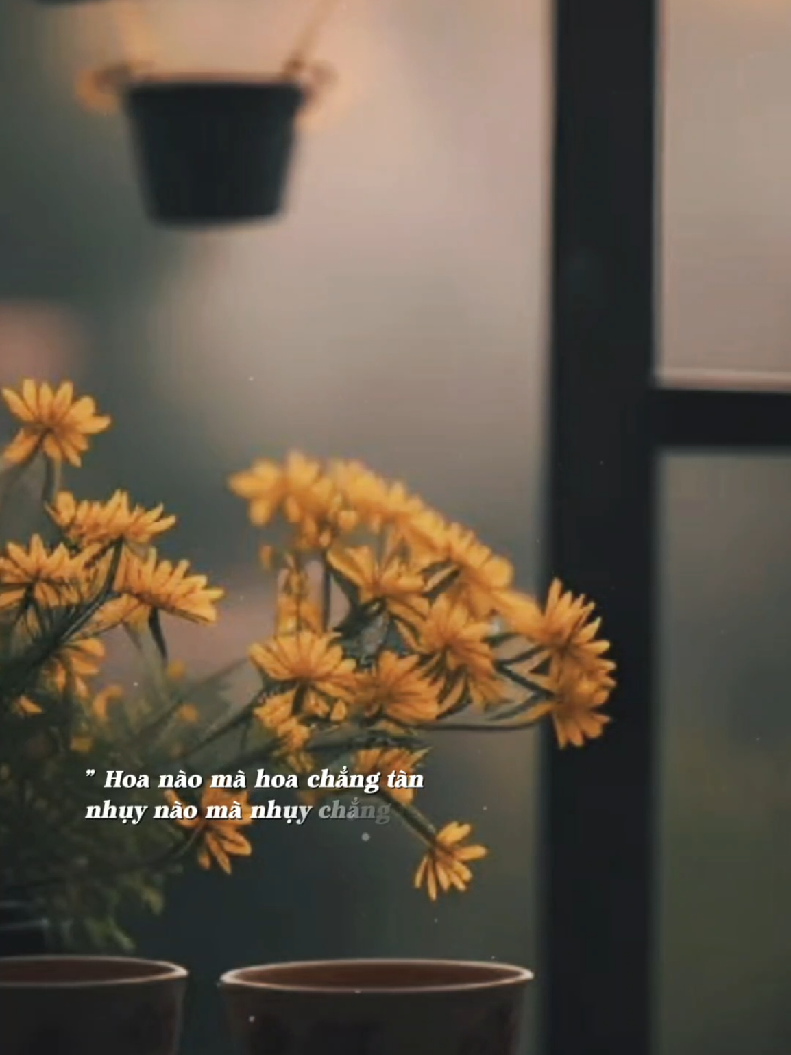 Mấy ai hiểu được chữ tình lòng người khó đoán khó tin... #Bkmuzic #nhachaymoingay #bendohaybentam 
