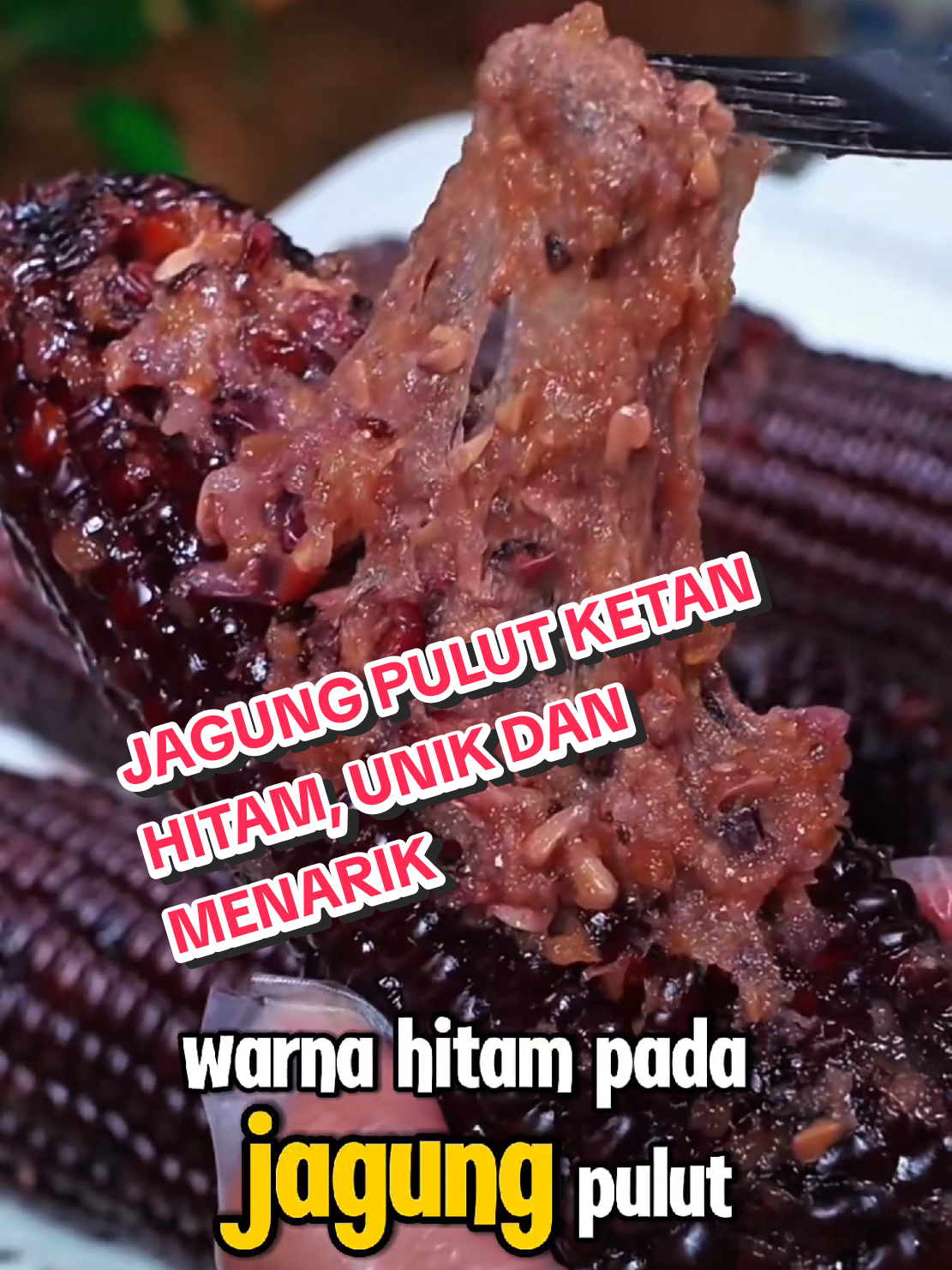 Jagung Pulut Ketan hitam, tekturnya kenyal seperti ketan kalo dimasak. Selain itu kaya akan mineral, antioksidan dan mineral.  yang mau coba tanam, chek di pojok kiri bawah /etalase ya.  #jagungpulutketanhitam #jagungpulut #jagunghitam #jagungunik #tanamanunik #ayotanamjagung #benihjagungpulut #petanipintar #fyppppppppppppppppppppppp 