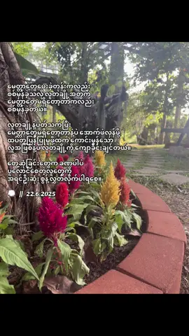 #crd #moots? #moots #viralvideo #foryou #foryou #xyzabc #zyxbca #trending #quotes #quotes #feelings #Love #teenager 