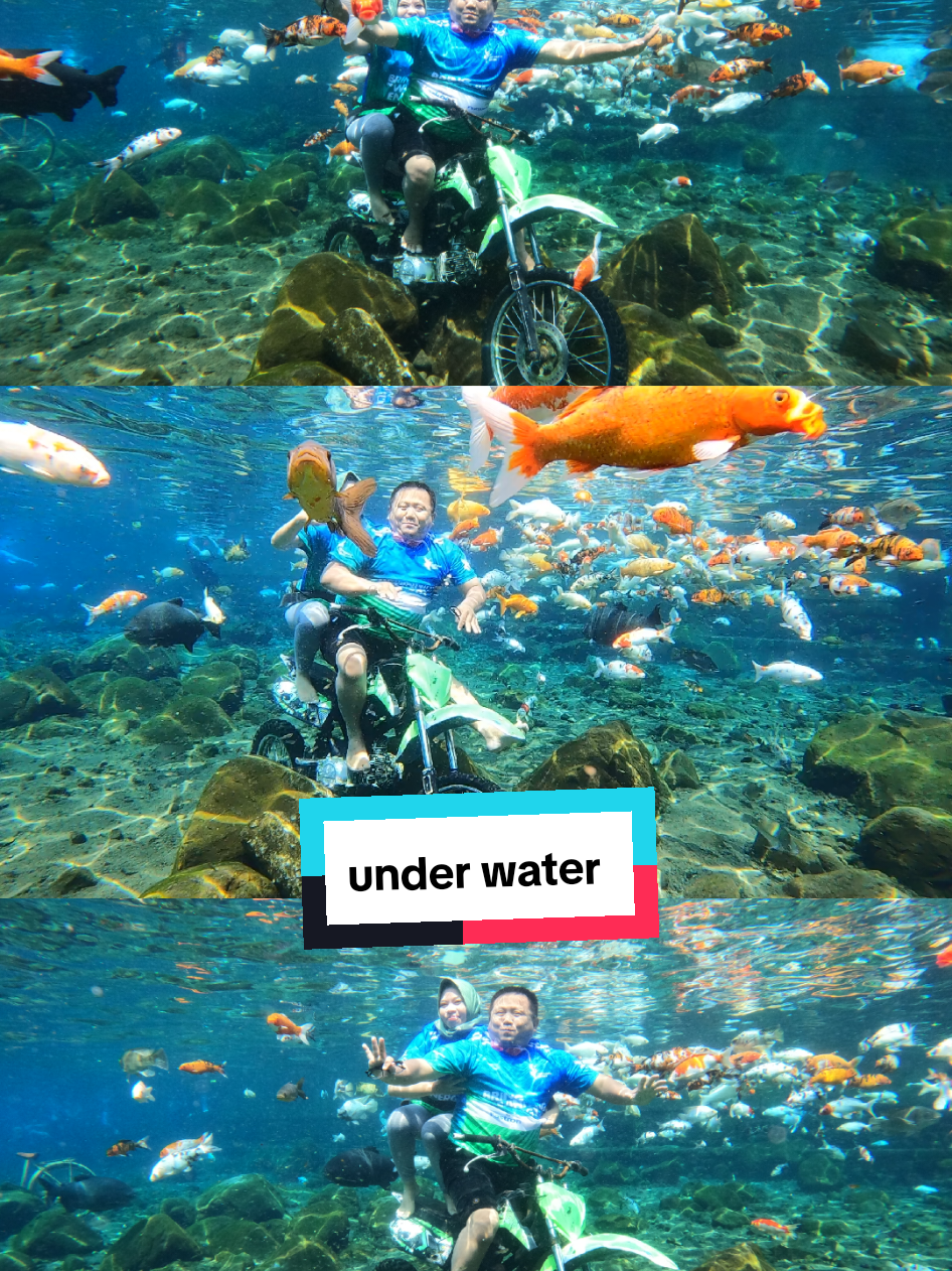 Tidak semua bisa diarahkan sesuai kehendak..Kita hanya penumpang diperahu waktu, belajar membaca arus, bukan melawannya.. semangat..💪💪#menikmatiproses #mamecopycenter #underwater #umbulponggok #diving 