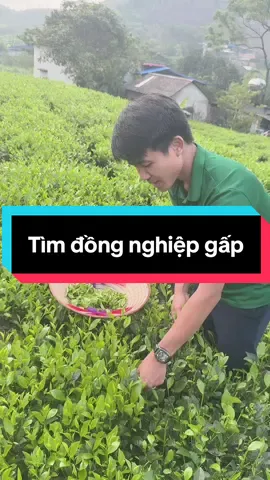 Mấy bà nhiều chuyện xem được mai đừng chửi cháu nhá, cháu nói vui thôi #xuhuong #antamkhang #trathainguyen #chexanhthainguyen 