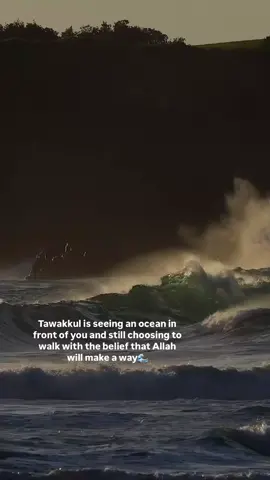 # when you have trust in Allah  then even the ocean will part its way for you. that's true twakkul.❤️
