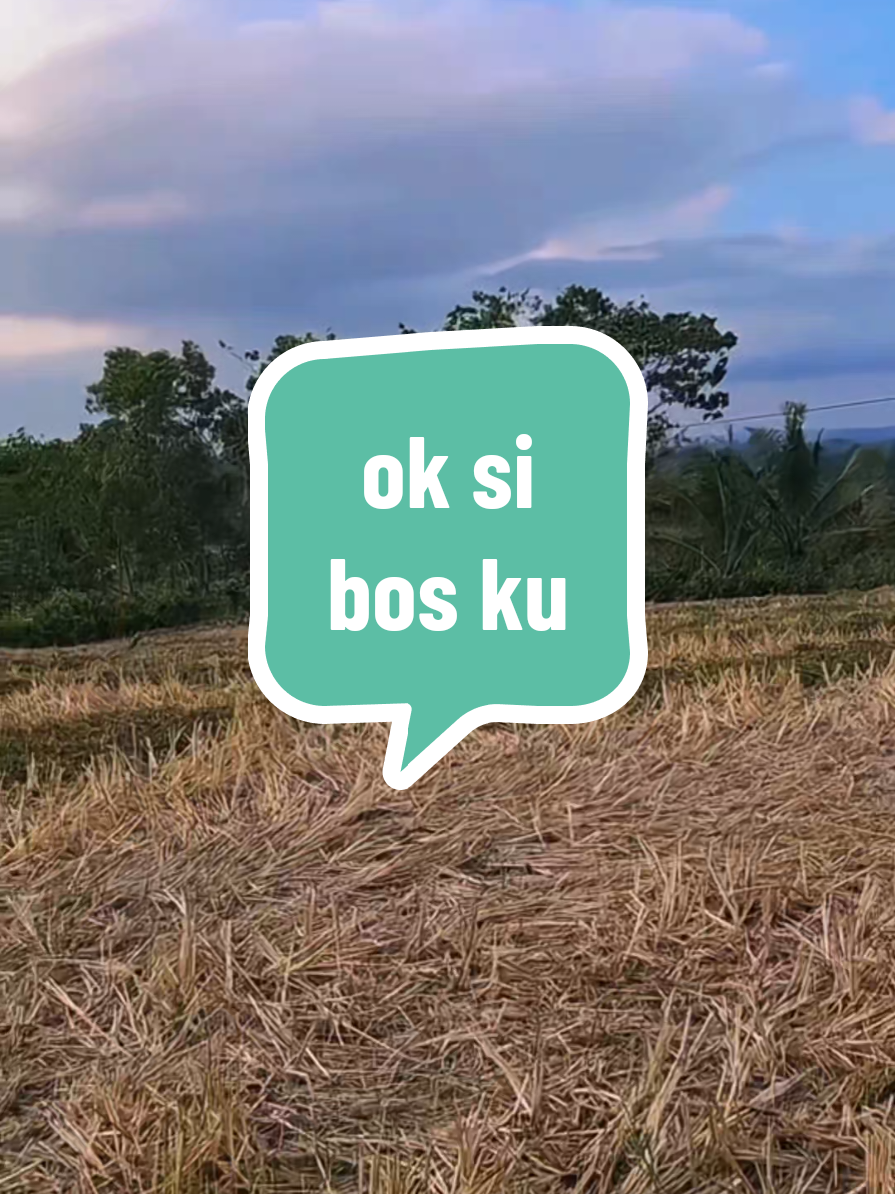 layangan pitu pitu bugis . . . . . . .#bugispride🏝️🔥 #bugissulawesi #trending #fyp #pitupitubugis #layangan #ifhuljamil 