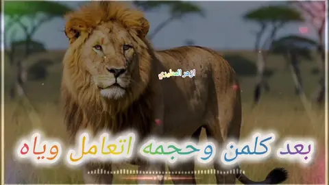 بعد كلمن وحجمه اتعامل وياه #شعر #شعراء #شعراء_الجنوب #شعر_شعبي 