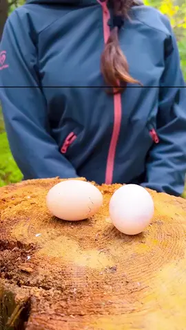 Ep 540 - Wow! It was cool! #camping #survival #bushcraft #Outdoors #cook #cooking