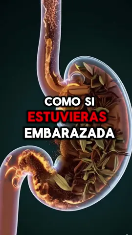 Belly Flat en 1 Semana con Este Remedio Natural! 🌿✨🙏 #Receta #remedioscaseros #remediosnaturales #parati #bienestar #fyp #foryou #bellyflat #saludnatural 
