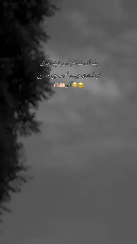 #metomyperson❤️ #foryou #foryoupage #trinding_video #trinding_video #tiktok #tiktok #viwesproblem #viraltiktok #forupage #fypシ゚viral #forupage #viralvideo #😭🥺💔 #viwesproblem #viraltiktok 