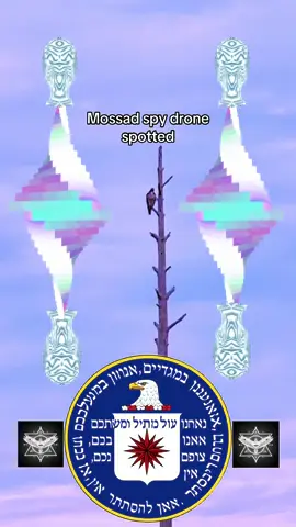 They know I know #agartha #mossad #vrilliant 