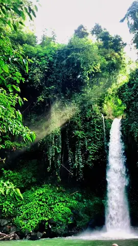 kenapa namanya air terjun? #waylalaantanggamus #lampung  #fyp 