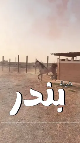 أفخم شيلة عريس حماسيه باسم بندر مهنا العتيبي حماسيه2025#مهنا_العتيبي_صوت_الجزيره_اكسبلور السعوديه🇸🇦#الكويت🇰🇼 #قطر_الدوحة🇶🇦 #البحرين🇧🇭 #الامارات#-للطلب_الشيلات_والزفات_التواصل_معنا_وتساب_من_داخل_المملك-شيلات_زفات_تخرجات_مواليد_عقد_قرآن_مولوده_مولود شيلات الخروج من_الاندين ظظة سجن_شيلات_خروج - بسلامه - شيلات -شفاءوسلامه_شيلات_تقاعد_تخرج_ملازم_تخرج_عسكري_تخرج_من_الدفاع_المدني_الكويت_قطر_السعوديةالامارات_البحرين_الكويت_الرياض_المدينه_ابها_شيلات_حماسيه_طرررب_شيلات_عرسان_شيلات_ام_العروس_شيلات_ام_العروسه_شيلات_خطوبه_زفات_بالاسماء_ز فات_بدون اسماء - كتابة كلمات_جديدة من- خارج- المملكه #استديو_اللمسه-الماسيه_لتنفيذ_الشيلات_والزفات والقصائدالشعريه_لجميع_المناسبات_شيلات_مهنا_العتيبي_فهد_العلي_النايف_فواز_العنزي_شيلات_بنت_ابوها_شيلة_شامخه_بنت_ابوها_الرياض_جده_مها_شيلة_شامخه_بنت_ابوها_الرياض_جده_مكه_المكرمه_ابها_قطر_البحرين_الكويت_الامارات_شيلات_سعد_محسن_شيلات_ناصر_السيحاني_شيلات_عز_السعود_شيلات_قايد_الوبيري_2024_شيلات_فلاح_المسردي_شيلات_الجف راني شيلات البندر_بن_عوير_فهد_بن_فصلا_محمد_بن_غرمان_جديد_كتابة_كلمات_جديدة__من_خارج_المملكه_استديو_الزينه#للطلب_الشيلات_التواصل_معنا_وتساب_من_داخل_المملك_شيلات_زفات_تخرجات_موال-بسلامه-شيلات-شفاء_وسلامه_شيلات_تقاعد_تخرج_ملازم_تخرج_عسكري_تخرج_من_الدفاع_المدني_الكويت_قطر_السعودية_الامارات_البحرين_الكويت_الرياض_المدينه_ابها_شيلات_حماسيه_طرررب_شيلات_عرسان_شيلات_ام_العروس_شيلات_ام_العروسه_شيلات_خطوبه_زفات_بالاسماء_زفات_بدون_اسماءكتابةكلمات_جديدةء_زفات_بدون_اسماء_كتابة_كلمات_من_خارج_المملك استديو_اللمسه-الماسيه_لتنفيذ_الشيلات_والزفات_والقصائد_الشعريه_لجميع_المناسبات_شيلات_مهنا_العتيبي_فهد_العلي_النايف_فواز_العنزي_شيلات_بنت_ابوها_شيلة_شامخه_بنت_ابوها_الرياض_جده_مكه_المكرمه_ابها_قطر_البحرين_الكويت_الامارات_شيلات_سعد_محسن_شيلات_ناصرالسيحاني_شيلات_عز_السعود_شيلات_قايد_الوبيري_2024_شيلات_فلاح_المسردي_شيلات_الجفراني_شيلات_بندر_بن_عوير_فهد_بن_فصلا_محمد_بن_غرمان_جديد_كتابة_كلمات_جديدة_من-خارج_المملكه#للطلب_الشيلات_والزفات_التواصل_معنا_وتساب_من_داخل_المملكه-شيلات_زفات_تخرجات_موالید_عقد_قرآن_مولوده_مولود_شيلات_خروج_من_السجن_شيلات_خروج-بسلامه_شيلات-شفاء_وسلامه_شيلات_تقاعد_تخرج_ملازم_تخرج_عسكري_تخرج_من_الدفاع_المدني_الكويت_قطر_السعودية_الامارات_البحرين_الكويت_الرياض_المدينه_ابها_شيلات_حماسيه_طرررب_ شيلات_عرسان_شيلات_ام_العروس_شيلا ت_ام_العروسه_شيلات_خطوبه_زفات_بالاسما ء_زفات_بدون_اسماء -خارج_المملكه- ع_المناسبات_شيلات_مهنا_العتيبي_فهاد_ العلي_النايف_فواز_العنزي_شيلات_بنت_ابوها_شيلة_شامخه_بنت_ابوها_الرياض_جده_مكه_المكرمه_ابها_قطر_البحرين_الكويت_الامارات_شيلات_سعد_محسن_شيلات_ناصر_السيحاني_شيلات_عز_السعود_شيلات_قايد_الوبيري_2024_ شيلات_فلاح_المسردي_شيلات_الجفراني_شيلات بندر بن عوير_فهد_بن_فصلا_محمد_بن_غرمان_جديد_كتابة_كلمات_جديد
