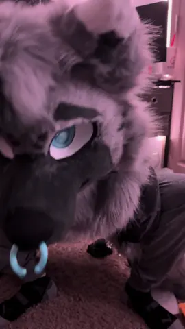 I serriously cant be happy enough with this suit. #furry #furryfandom #fursuit #fursona #furrytiktok #furrycommunity #furrytrash 