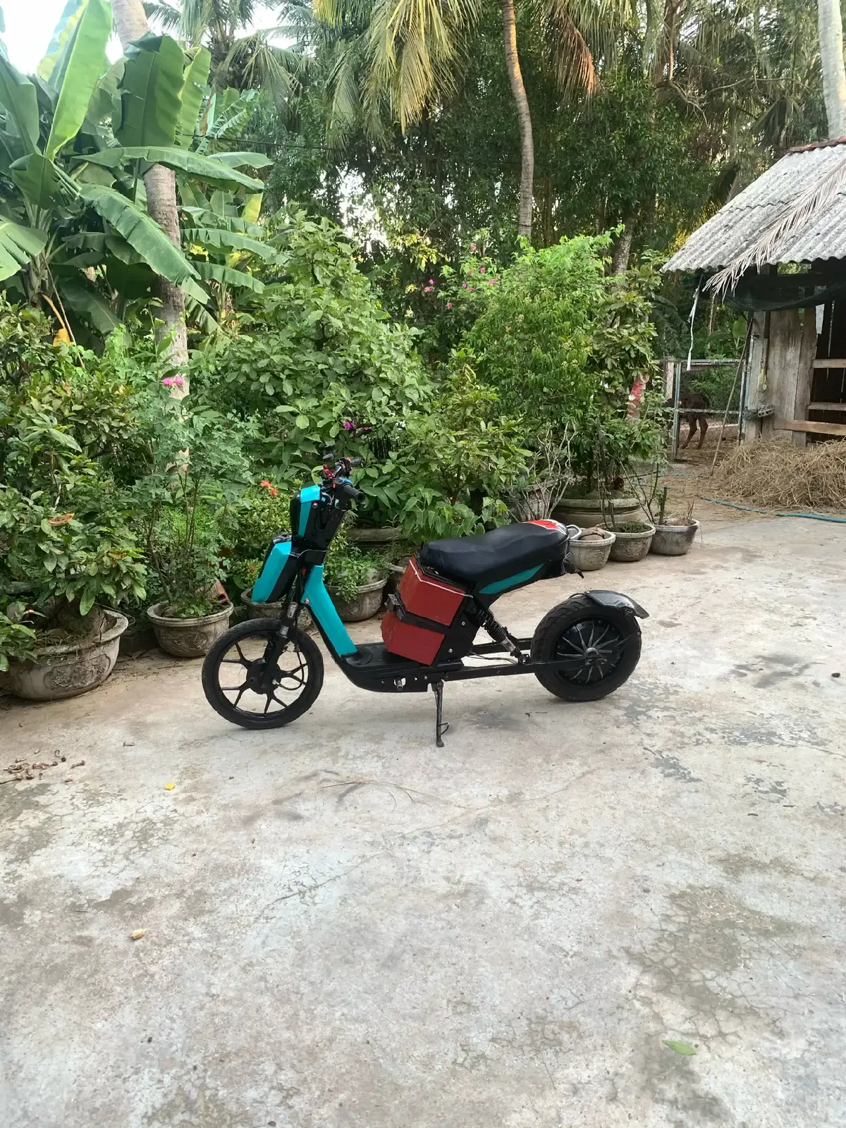 xanh j đây ae #xanh #xedien #xedovietnam #fyp #77binhdinh 