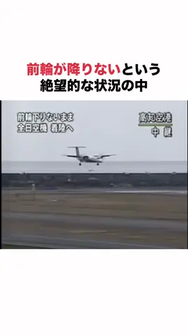 【“訓練通りにやっただけです” 名乗らなかった英雄】 #雑学 