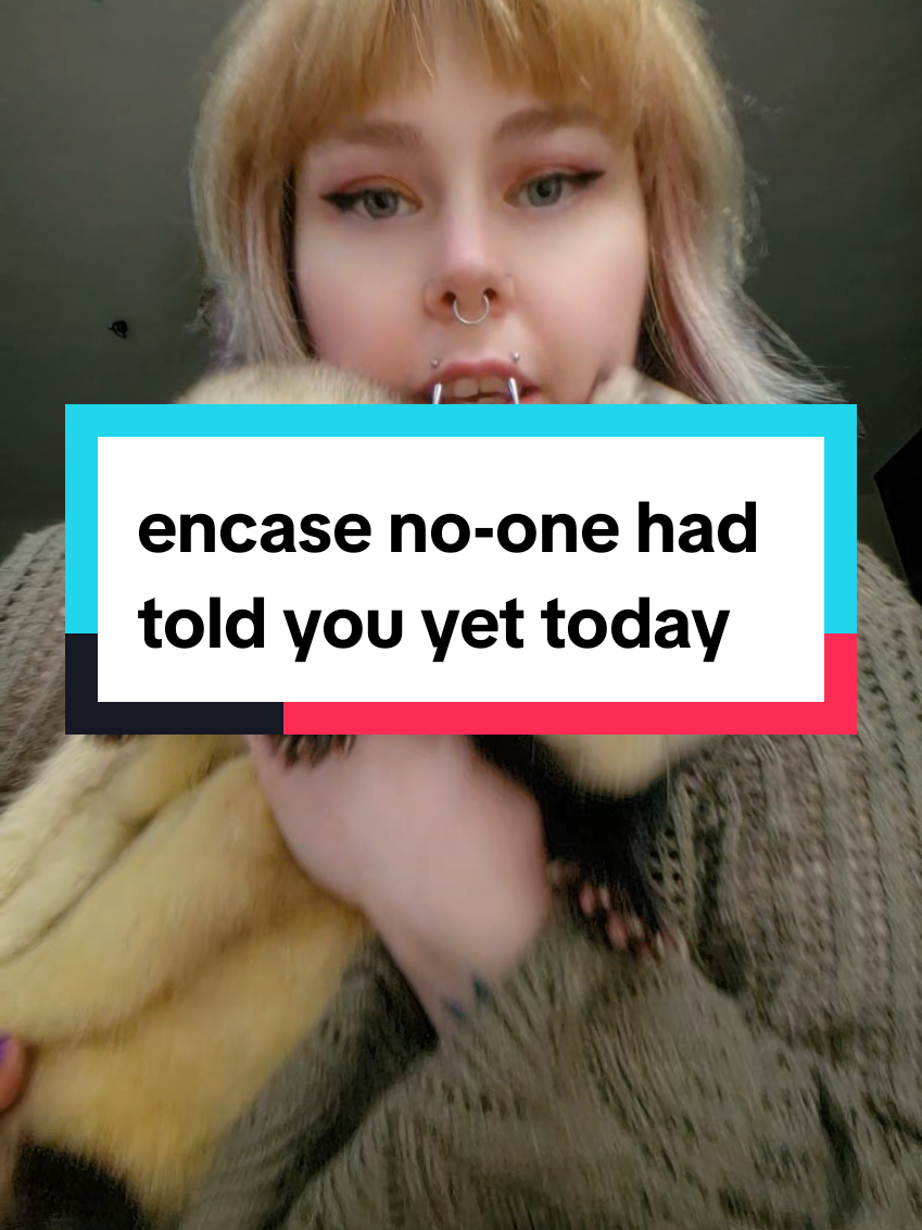 incase no one has told you this yet today ❤️ #ferret #ferretsoftiktok #dooks #noodleducation 