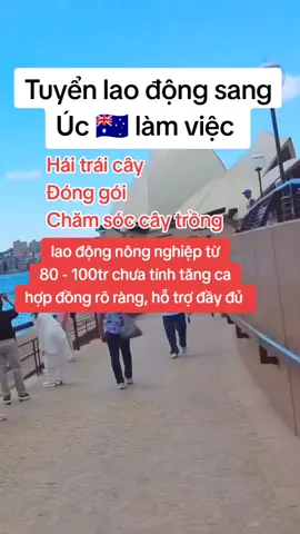 không cần kinh nghiệm bằng cấp, thu nhập hấp dẫn #visauc #visauc462 #visauc482 #xklduc #vieclamuc 