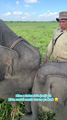 Kaka Erin : Iya dede Nisa pasti kita main lagi nanti yaa.. sehat ya jangan mam pisang terus, jangan belok2 kalo mama pleno udh jauh buruan lari ya nanti diculik. #waykambas #gajahsumatera #lampung #gajah #animals #babyelephant #worldelephantday 