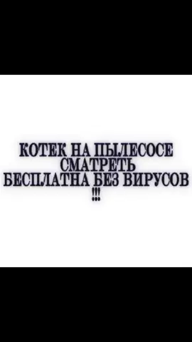 #fyp #cat #котеке #котики