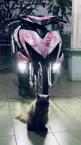 🐈‍⬛: whiskas dulu ya bos baru foto @psycho #latjoreborn #aerox155 #aeroxberdarah #fyp 
