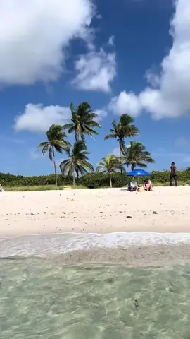 You probably forgot Dania Beach exists 👀 #thingstodoinfortlauderdale #Daniabeach #thingstodoinmiami #southfloridabeaches #solodateideas