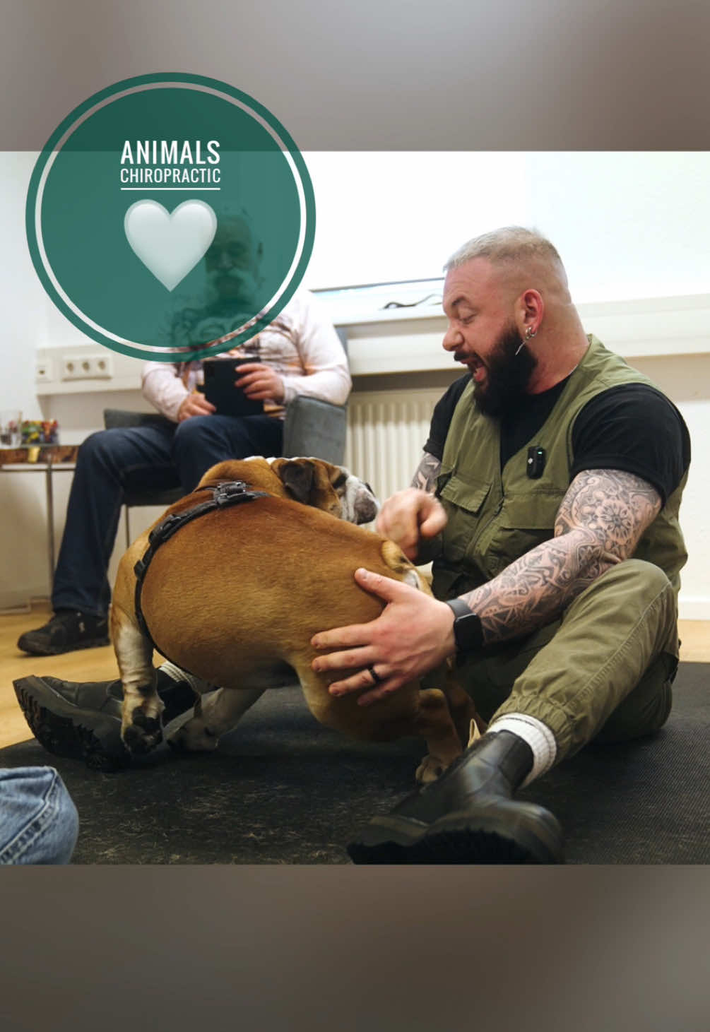 Dog with back pain 🥹🥹🥹 • • • #foryou #asmr #animal #chiropractortiktok #türkiye #hundeauftiktok #hund #tiere #Love #animals #bochum 