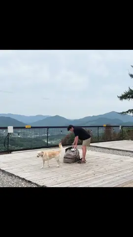 Weekend camping with my dog.