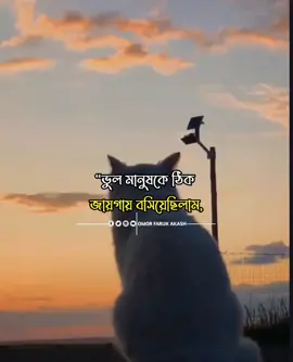 ভুল মানুষকে ঠিক জায়গায় বসিয়েছিলাম...! 🥲❤️‍🩹🥀 #foryou #tiktok #foryoupage #fyp #viral #viraltiktok #tranding #IslamicStatus #IslamicReminder #BanglaIslamicStatus #islamic_motivation #AlHidayah #Omor_faruk_akash 