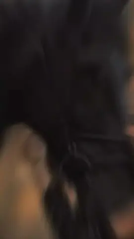 #CapCut 