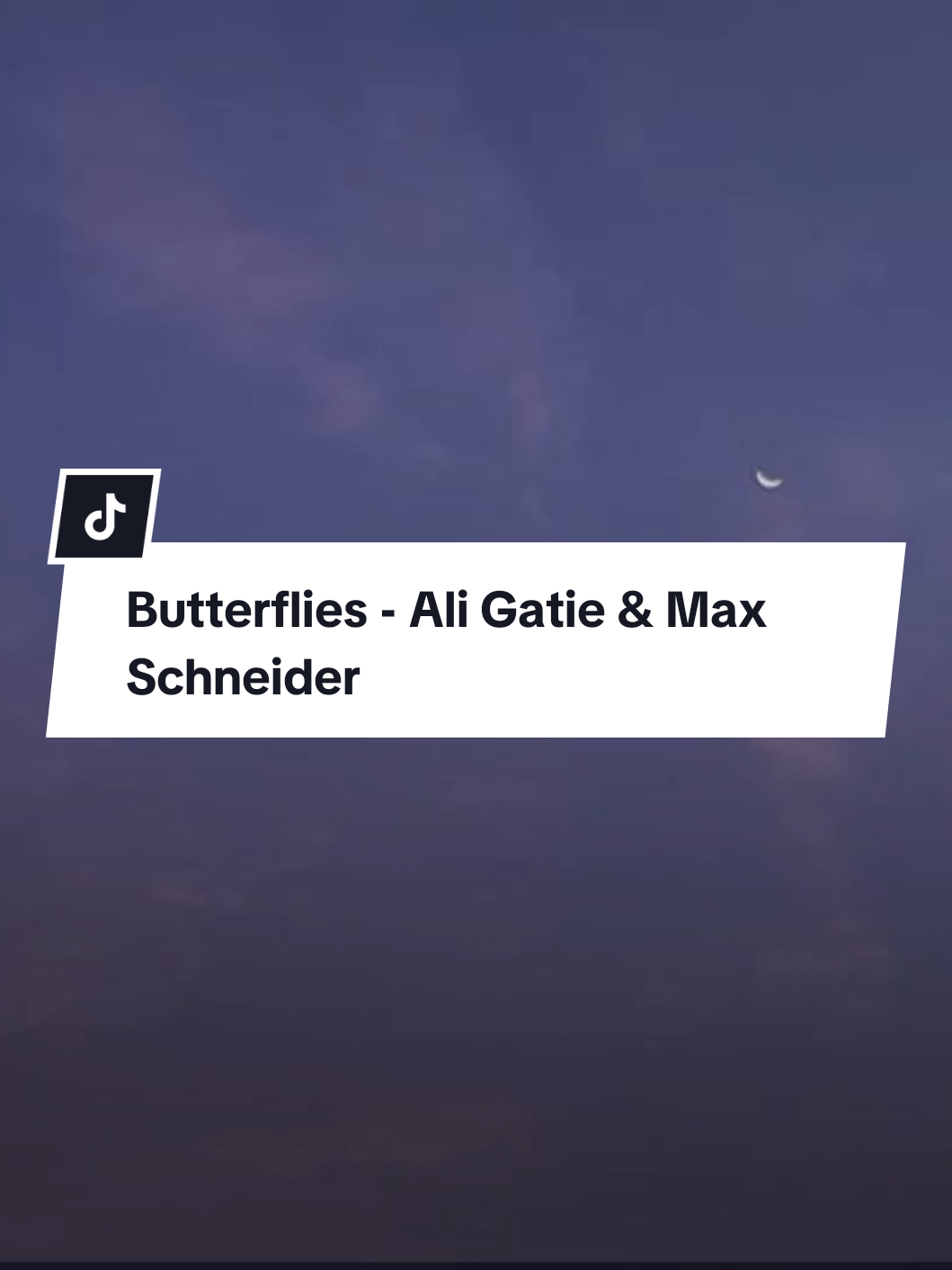 Butterflies - Ali Gatie & Max Schneider (Mmsub)