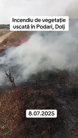 Incendiu de vegetație uscată și mase plastice în Podari, Dolj Pompierii ISU Dolj sunt în alertă și astăzi. Un nou incendiu de ve uscată a izbucnit. De această dată în comuna Podari. “Pompierii din cadrul Detașamentului 1 de Pompieri Craiova au fost solicitați să intervină pentru stingerea unui incendiu izbucnit în localitatea Podari.La fața locului acționează trei autospeciale de stingere.  Incendiul se manifestă la vegetație uscată și mase plastice, pe o suprafață extinsă, cu degajări mari de fum. Vântul bate moderat spre tare, ceea ce îngreunează misiunea de limitare și lichidare a focului și poate favoriza extinderea flăcărilor către zonele învecinate Intervenția este în dinamică în acest moment, forțele de intervenție acționând pentru localizarea și lichidarea incendiului, precum și pentru protejarea bunurilor și a populației din proximitate. Forțele unt suplimentare și cu un UTV.   Incendiul se manifestă pe o suprafață de aproximativ 30 ha la vegetație uscată și mărăciniș”, potrivit ISU Dolj.