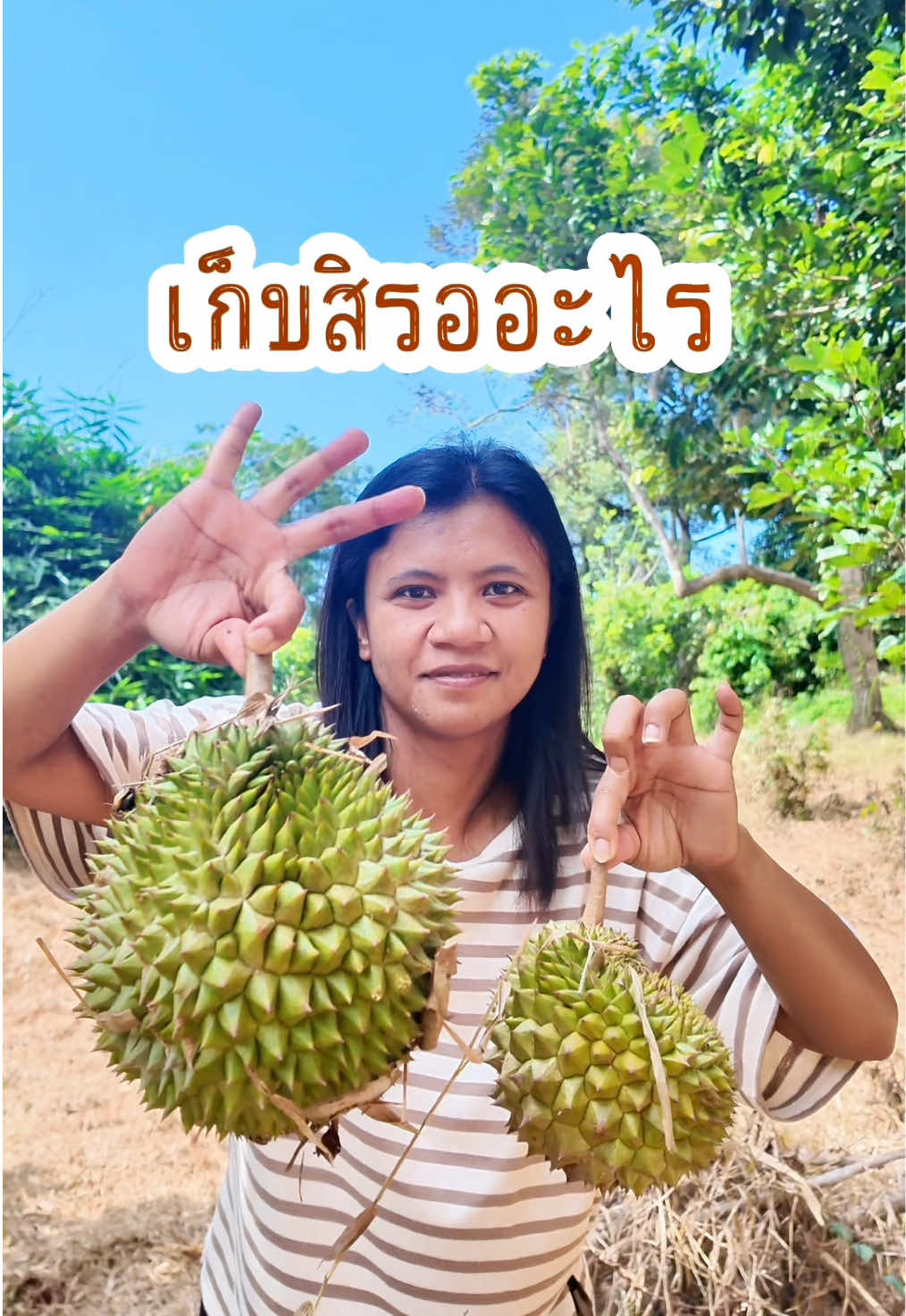 นราธิวาสบ้านฉันกับสวนทุเรียน 100 ปี #นราธิวาส #นราธิวาสหวานเจี๊ยบ🥰 #สาวใต้ #คนใต้ #วิถีชีวิตคนใต้ #สวนทุเรียน #ทุเรียนบ้าน 