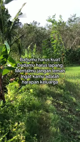 #fyppppppppppppppppppppppp #peternakkambing #peternakmuda #peternakindonesia #juragankambing🐐 #blantikkambingmuda 