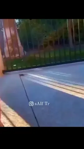 عمري ما نرخ😂#story #video #viral #fyp #ستوريات #الشعب_الصيني_ماله_حل😂😂 